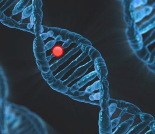 Covid-19: Ein Gen soll vor schweren Formen der Erkrankung schützen