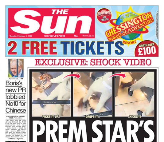 Video: Der französische Nationalspieler Kurt Zouma misshandelt seine Katze