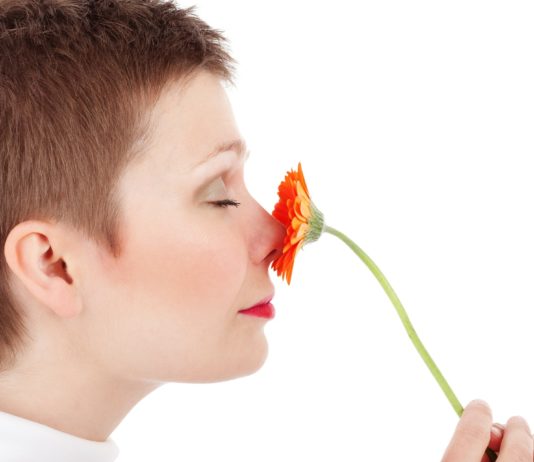 Eine künstliche Nase soll Covid-Patienten den Geruchssinn wiedergeben