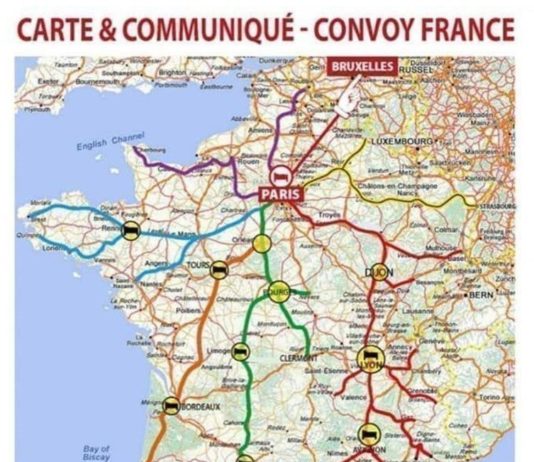 „Konvoi der Freiheit“ in Frankreich: Die ersten Fahrzeuge treffen in Paris ein
