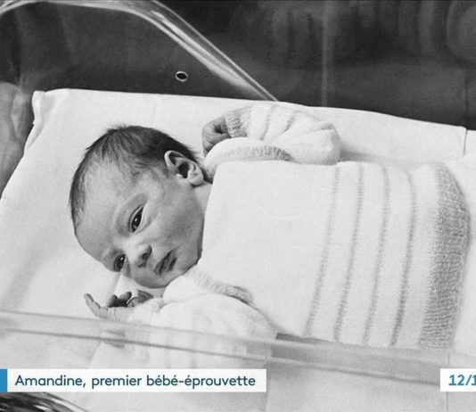 Wissenschaft: Vor 40 Jahren wurde das erste Retortenbaby geboren