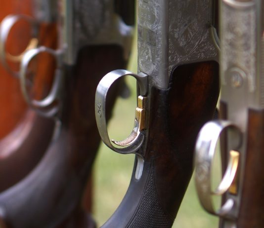 Jagdunfall: Wanderin in der Nähe einer Treibjagd auf Wildschweine von junger Jägerin getötet