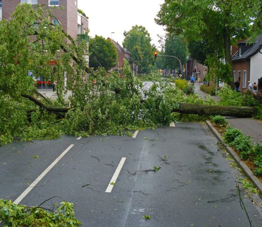Sturm Eunice: Nordwestfrankreich schwer getroffen