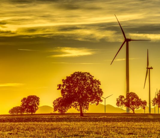 Präsidentschaftswahlen 2022: Wie sieht Emmanuel Macrons Bilanz in Sachen Umwelt aus?