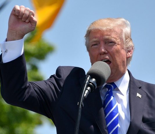 Trump telefoniert mit Zemmour: „Geben Sie nicht nach und halten Sie durch“