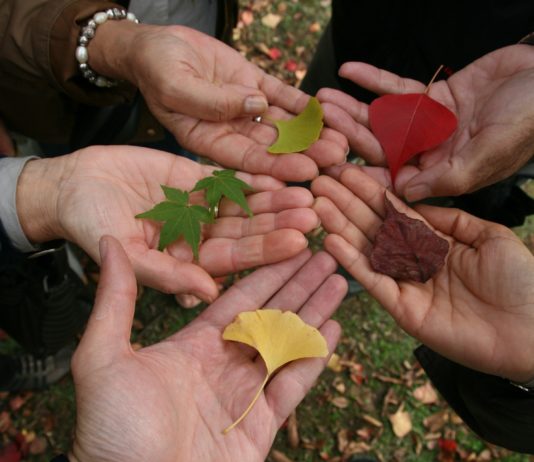 Ein paar Gedanken zum Thema Toleranz