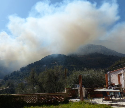 Waldbrände werden regelmäßig und immer öfter auftreten