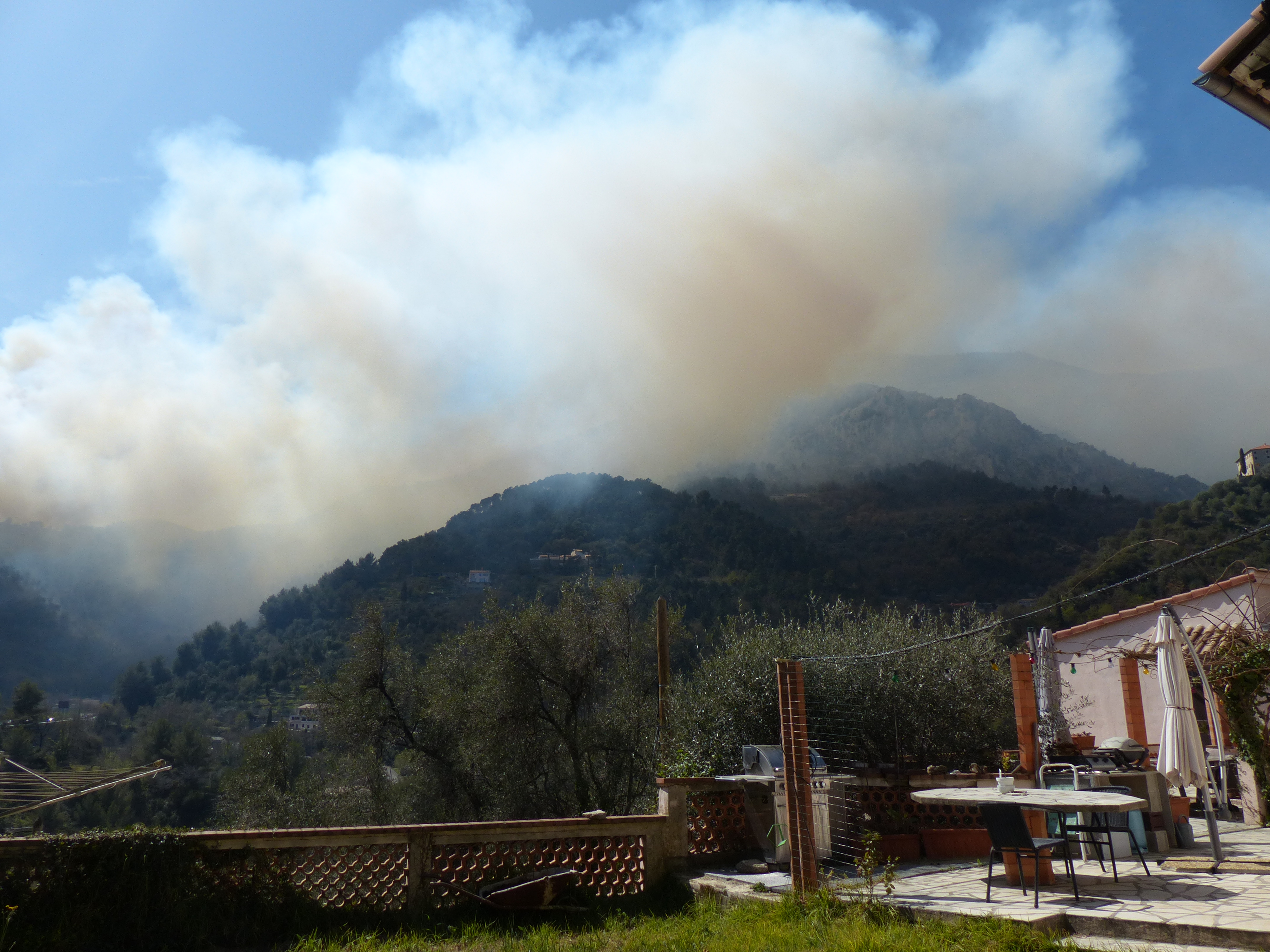 Waldbrände werden regelmäßig und immer öfter auftreten