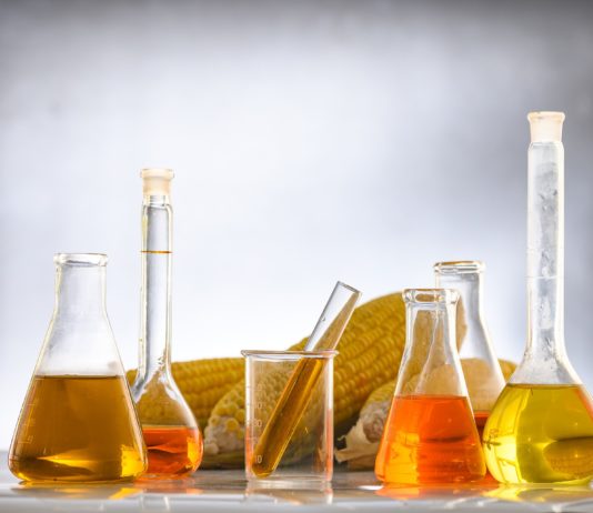 Benzinpreise: Ist Superethanol E85 eine gute Alternative?