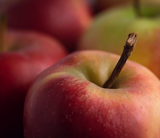 Verbraucherportal ‚UFC Que choisir‘ warnt vor Pestiziden in 50% der Obst- und Gemüsesorten