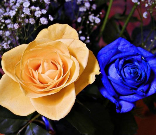 Ukraine-Krieg: Die Farben Blau und Gelb überall in Frankreich