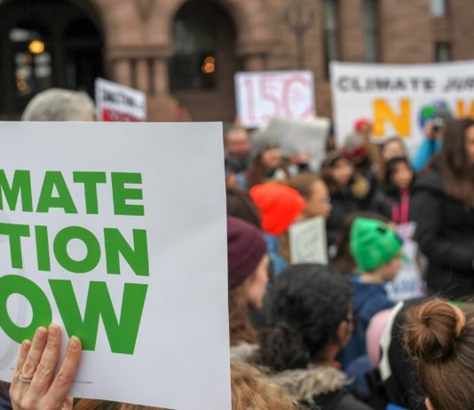 Präsidentschaftswahlen: 8 von 10 Franzosen sorgen sich um die Umwelt und den Klimawandel