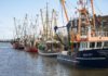 Boulogne-sur-Mer: Wenn der Diesel teurer ist als der Fang Fischtrawler