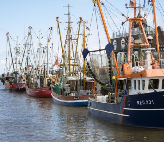 Treibstoffpreise: Die Fischer bleiben im Hafen
