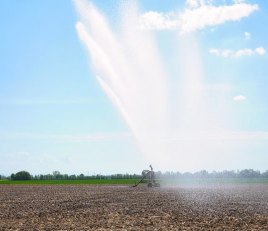 Dürre: Einschränkungen der Wassernutzung in den Departements Var und Ain