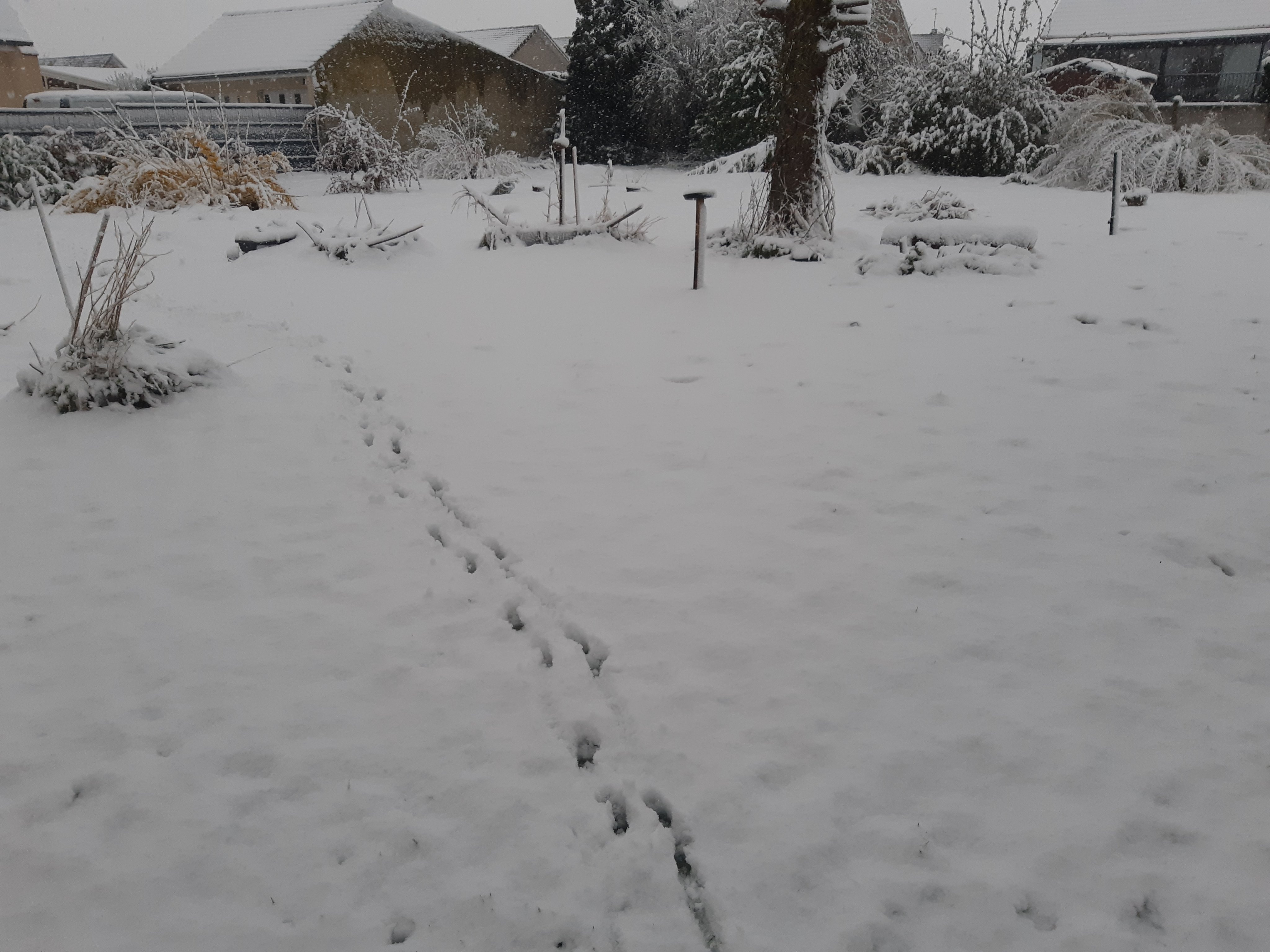 Schnee am 1. April