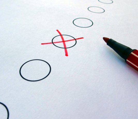 Präsidentschaftswahlen: Welche Themen könnten bei der Wahlentscheidung am meisten zählen?