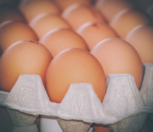 Lebensmittel: Wegen der Vogelgrippe werden die Eier knapp