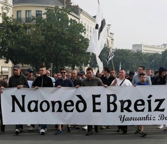 Rechtsextreme in Frankreich: „Ich habe es nicht geschafft, sie einzudämmen“, bedauert Emmanuel Macron