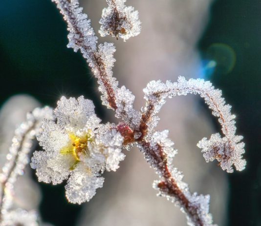 Kälteeinbruch: Bis zu -5°C heute Morgen in Okzitanien – kälteste Aprilnacht seit 1947