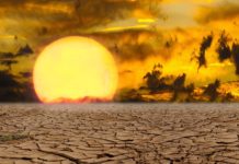 El Niño ist zurück – was heißt das für uns? Dürre_Trockenheit