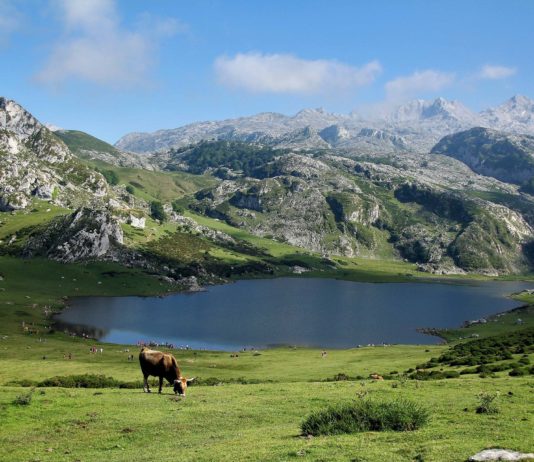 Umweltverschmutzung in den Pyrenäen: Giftiger Chemie-Cocktail in Bergseen gefunden