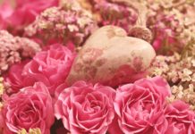 Heute feiert Frankreich den Muttertag