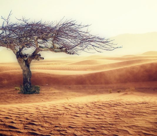 Klimawandel: Irak, Iran und Syrien ersticken in Sandstürmen