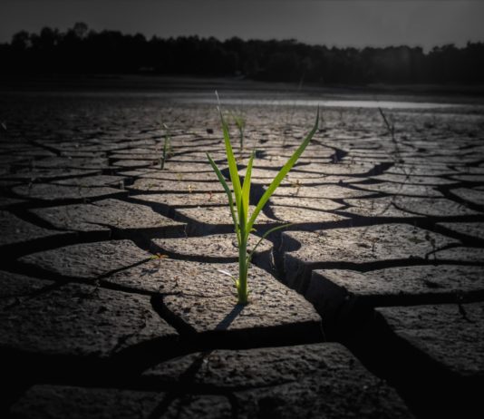 Dürre im Var: Neue Wasserbeschränkungen für 85 Gemeinden Dürre_Trockenheit