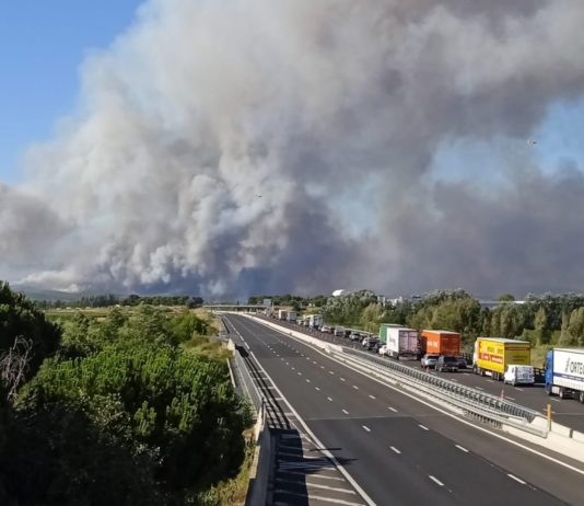 Waldbrand in den östlichen Pyrenäen: Autobahn A9 gesperrt und 100 Einwohner evakuiert Waldbrand_Autobahn