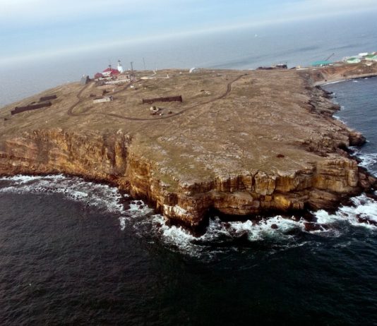 Ukraine-Krieg: Die russische Armee flieht von der strategisch wichtigen „Schlangeninsel“ im schwarzen Meer Schlangeninsel_Odessa