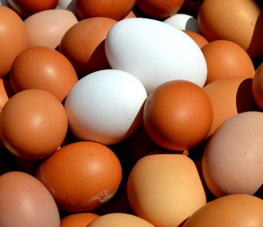 Produktrückruf: Salmonellen in frischen Eiern gefunden Hühnereier