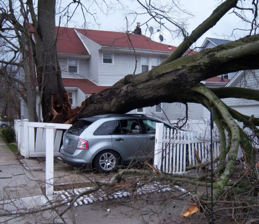Klimakatastrophen: Werden die Versicherungsprämien in die Höhe schnellen? Sturmschaden