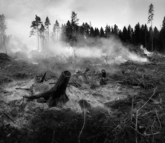 Frankreichs Feuerwehr warnt vor „Sommer voller Gefahren, wenn wir nicht auf den Wald achten“ Waldbrand
