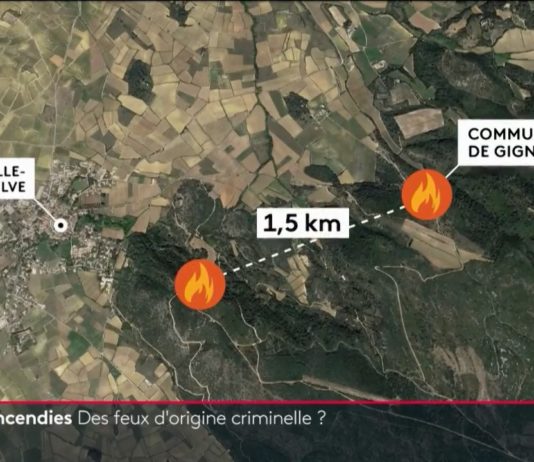 90% der Waldbrände sind auf menschliche Aktivitäten zurückzuführen Brandstiftung