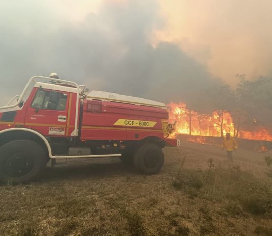 Waldbrände: Sechs neue Brandausbrüche in der Bretagne (Morbihan) Waldbrand