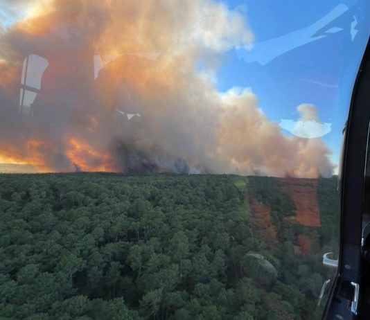 Brände in der Gironde: 3.850 ha verbrannt – die Feuerwehr kämpft am Donnerstag immer noch gegen die Flammen Waldbrände_Gironde