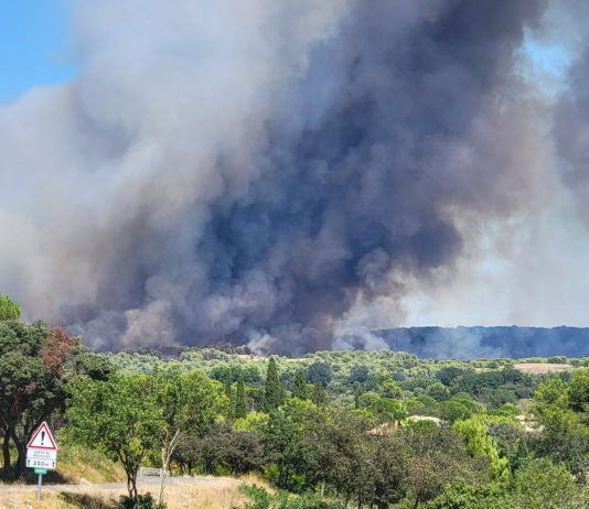 Eilmeldung: Ein heftiges Feuer in der Gegend von Aubais ausgebrochen Waldbrand_Gard