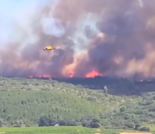 Es brennt im Hérault: 120 Hektar nach zwei Brandausbrüchen in der Nähe von Montpellier verbrannt Feuer_im_Herault