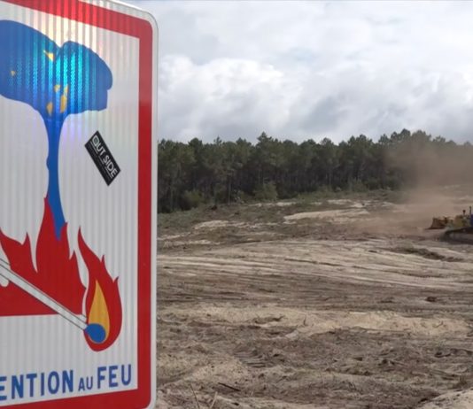 Brände in der Gironde: Spezielle Strategie soll den Vormarsch der Flammen endgültig stoppen Gironde_Schneise