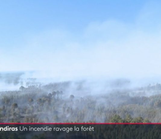 Brände in der Gironde: Die Gemeinde Landiras wird von Flammen verwüstet Landiras_brennt