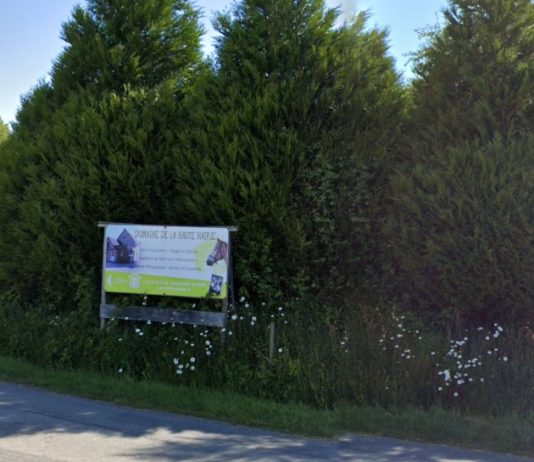 15 Kinder in Reitstall in der Region Ile-et-Vilaine verletzt – drei schweben in Lebensgefahr Ponyhof