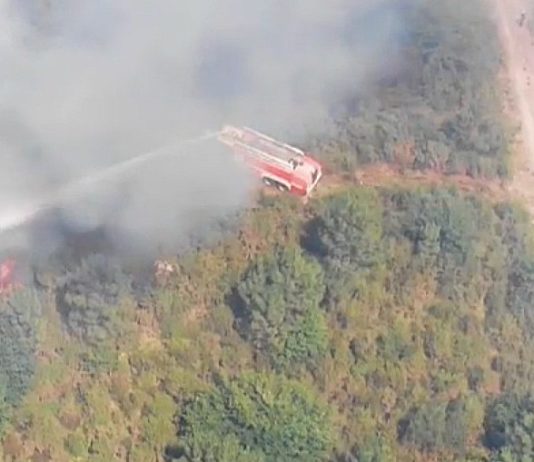 Brände in der Gironde: Eine Nacht bei den Feuerwehrleuten (Video) Waldbrand_Gironde