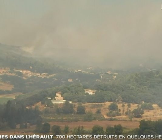 Feuer im Hérault: Brand bleibt wegen des Windes gefährlich aber breitet sich nicht weiter aus Waldbrand_Herault-2