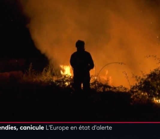 Europa: Brände und Hitzewelle treffen Süd- und Westeuropa Waldbrand_Portugal