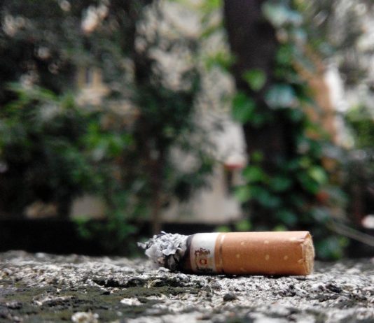 Feuer: Rauchverbot im Auto im südfranzösischen Langlade Zigarettenkippe