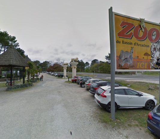 Brände in der Gironde: Ein Dutzend Tiere starben während der Evakuierung des Zoos in der Bucht von Arcachon Zoo_Arcachon