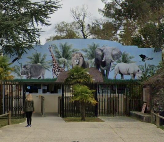 Brände in der Gironde: Auch die Tiere aus dem Zoo müssen evakuiert werden Zoo_Bassin_Arcachon