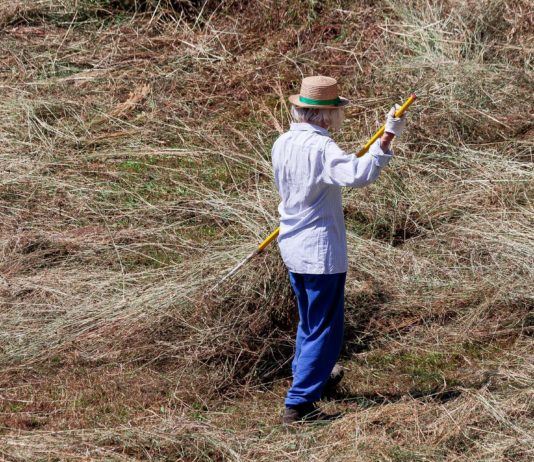 Hitzewelle: Was ist eine Hitzekuppel? Landwirtschaft_Dürre