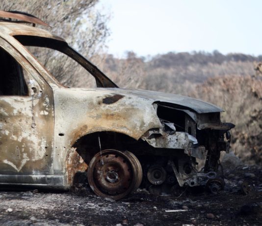 Brände in der Gironde: Bewohner müssen ihre Häuser räumen (Video) Waldbrände